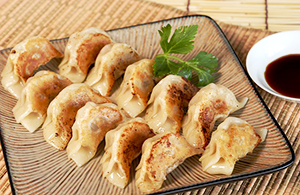 picture home made gyozas